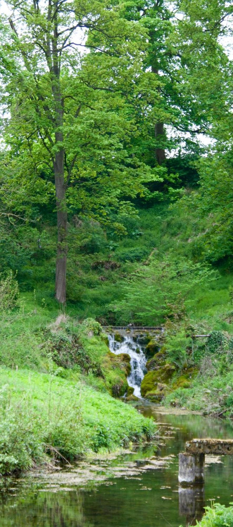 Oak Tree Cottage Stoke Rochford Экстерьер фото