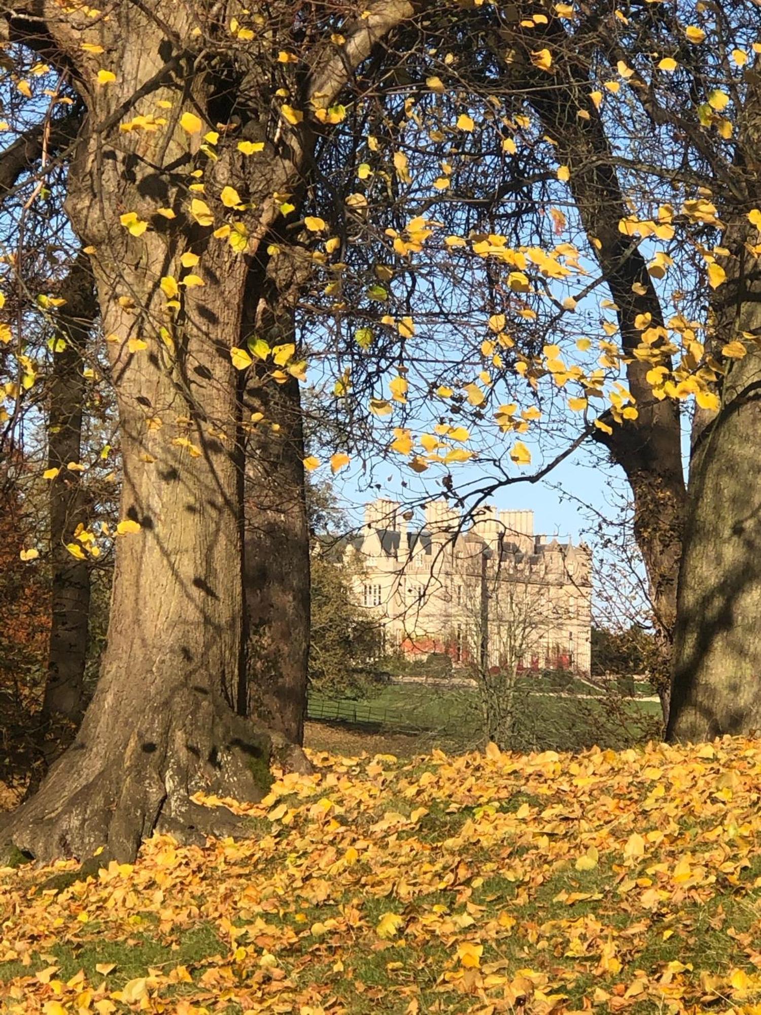 Oak Tree Cottage Stoke Rochford Экстерьер фото